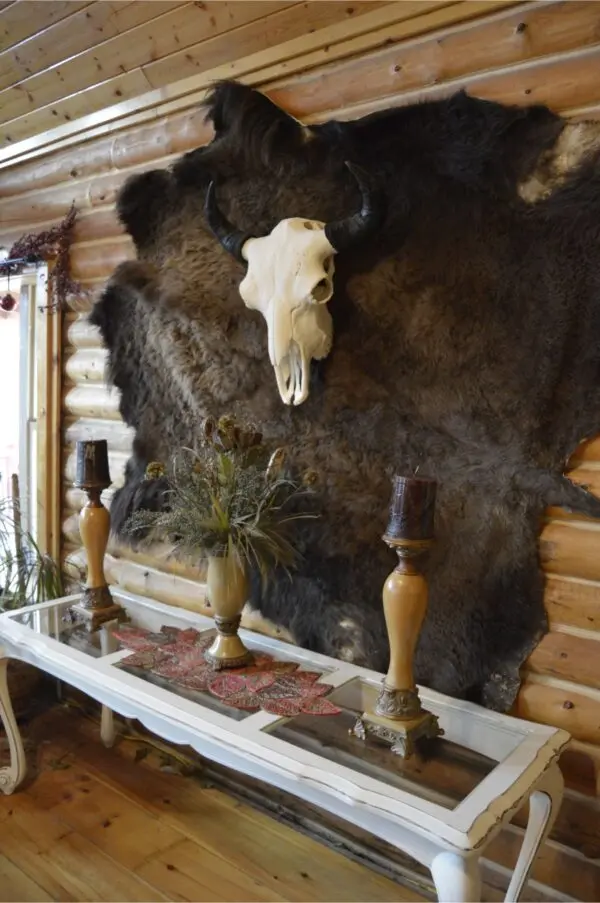 Ute Bison Robe Skulls