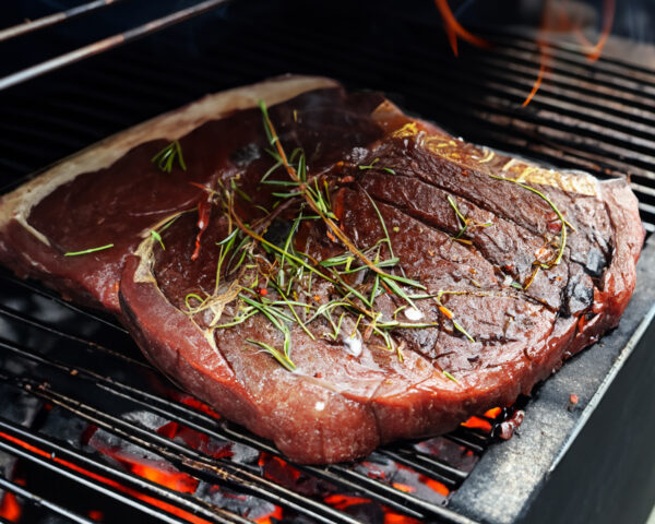 Bison brisket