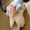 Painted Bison Skull