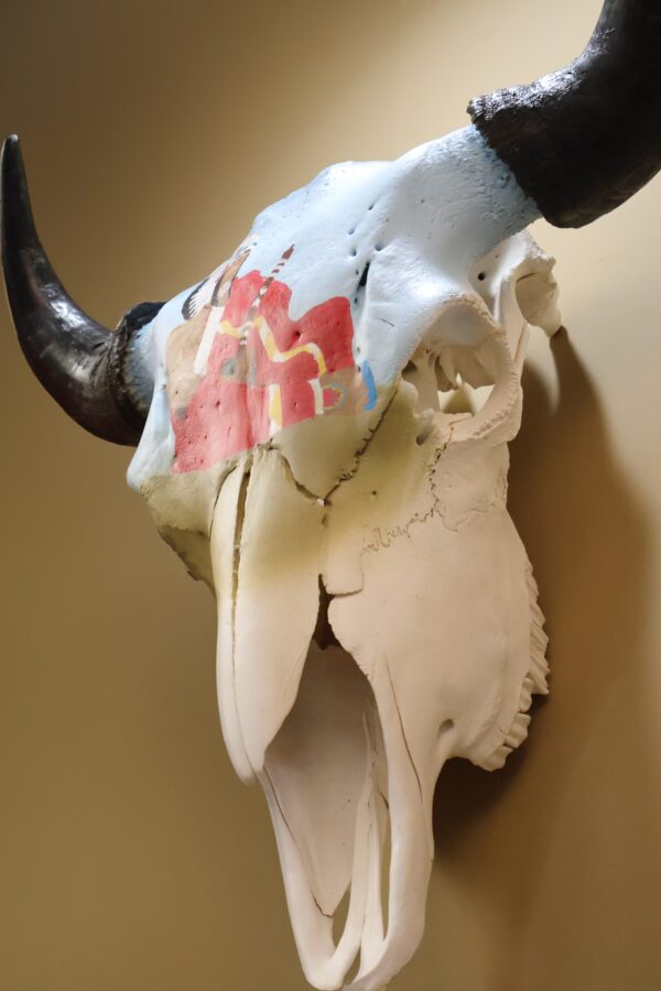 Painted Bison Skull